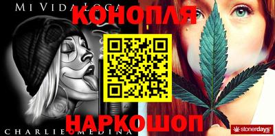 молекула духа Краснознаменск