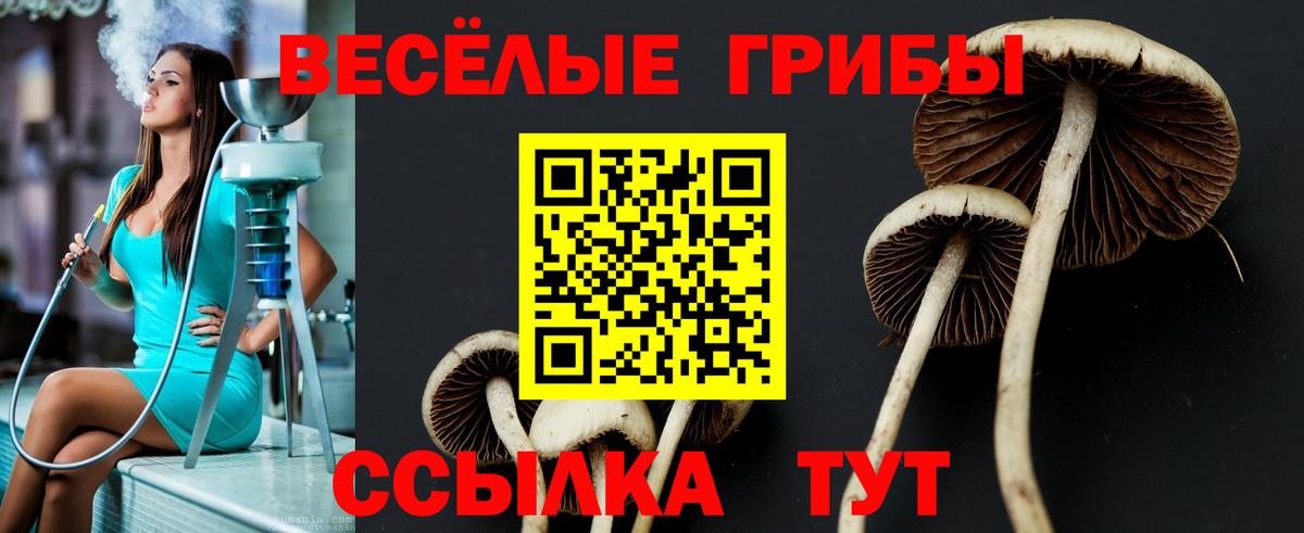 Галлюциногенные грибы мицелий Керчь